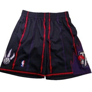 Mitchell & Ness NBA Toronto Raptors Swingman Basketball Shorts Men L